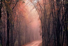 附近交友推荐平台：从怀疑到真香，我居然在手机上找到了靠谱饭搭子