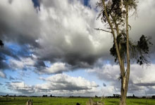 小妹快餐联系方式查询这事儿，还真让我这老脸一红