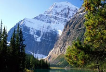 附近500米那个咖啡馆，她已经在等我了