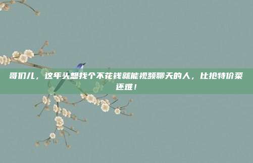 哥们儿，这年头想找个不花钱就能视频聊天的人，比抢特价菜还难！