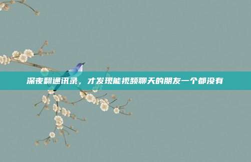 深夜翻通讯录，才发现能视频聊天的朋友一个都没有