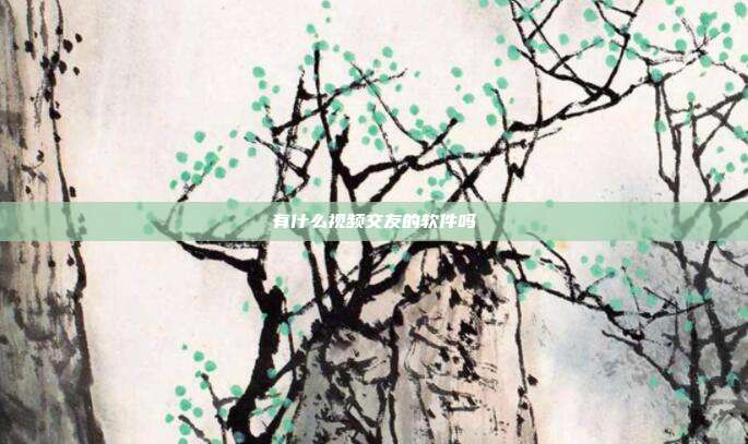 有什么视频交友的软件吗